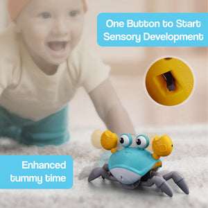 Speelse Beweging™ - Interactieve Kruipkrab